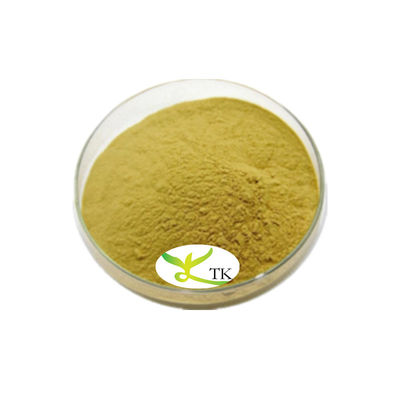 Pure Natural Piper Methysticum Extract Kava Root Powder 5% Kavalactones