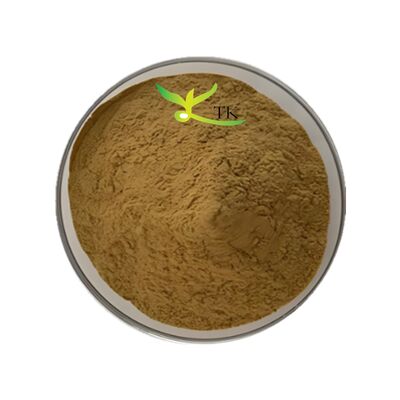 Pure Pant Extract Angelica Acutiloba Root Extract Powder Angelica Acutiloba Root Powder