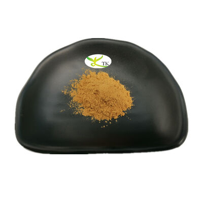 18 Years Experience Manufacturer Supply Natural Herbal Extract Powder Bulk Plant Extract Powder