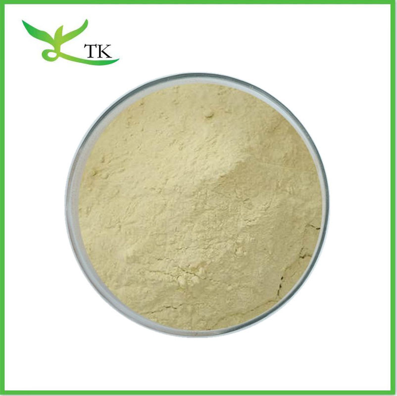 Natural Vegan Protein Powder Food Grade Pea Protein Powder Pea Protein Isolate Powder