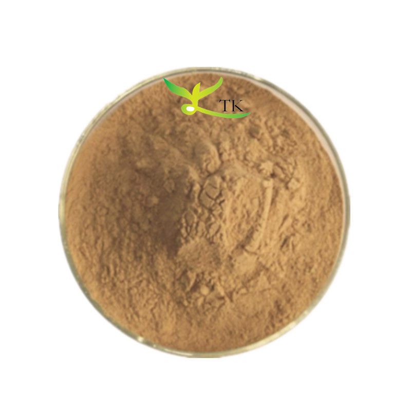 High Quality 98% Evodia Rutaecarpa Extract Powder Evodiamine 10:1 20:1 Extract