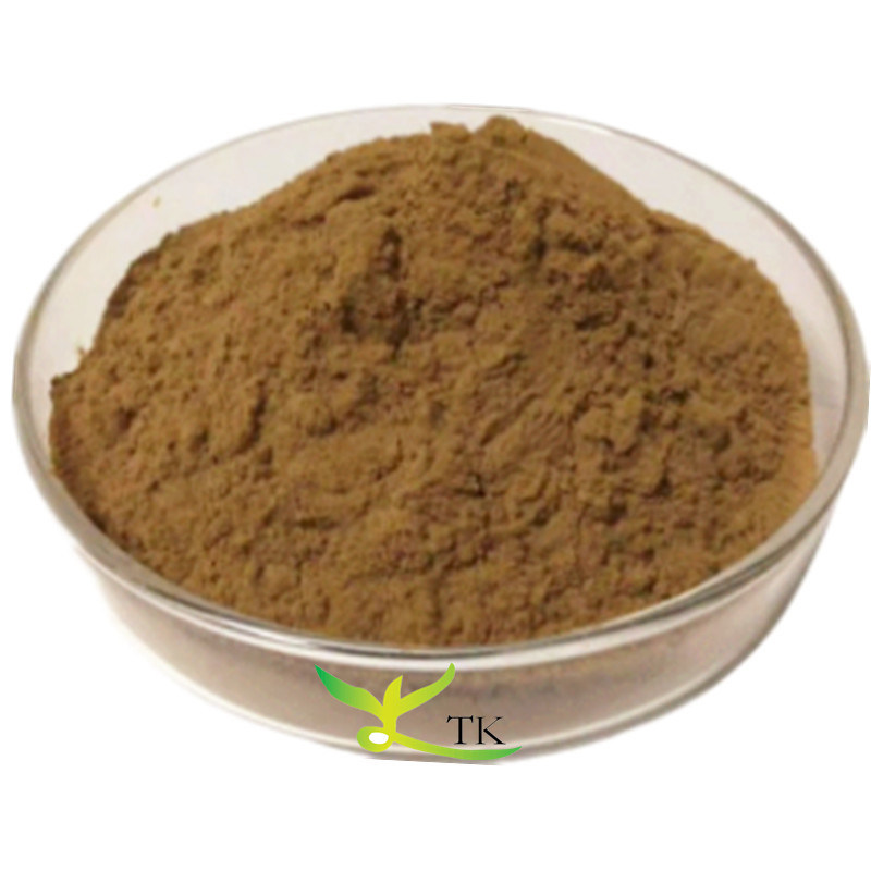 Wholesale Price Plant Extract Cissus Quadrangularis Extract Powder 4:1 10:1 50:1