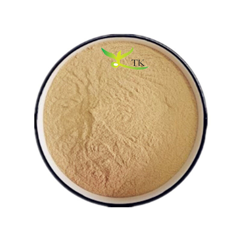 Wholesale Price Natural Snow Lotus Extract Snow Lotus Herb Extract Bulk