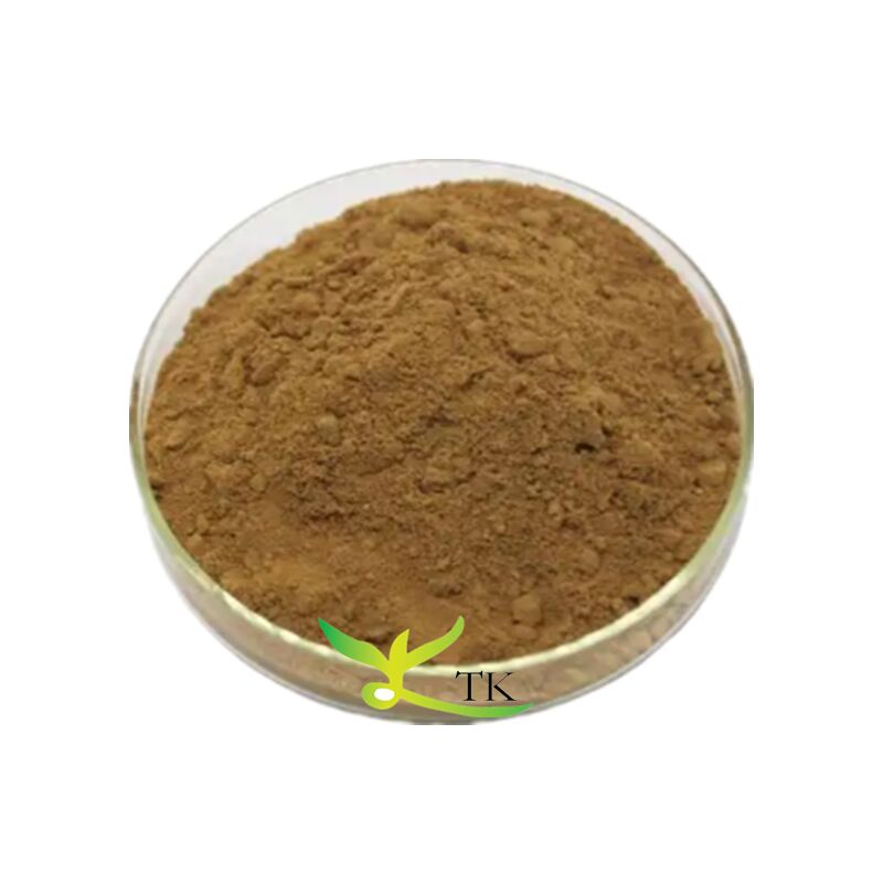 Natural Plant Extract Butterbur Extract Powder 10:1 Petasites Hybridus Extract Petasites Japonicus Extract Petasin 15%