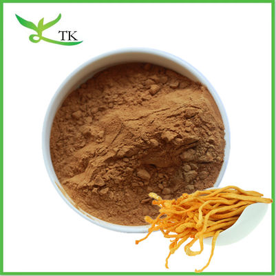 استخراج قارچ طبیعی پودر Cordyceps Militaris استخراج پودر Polysaccharide Cordycepin
