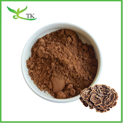 پودر خالص طبیعی Coriolus Versicolor پودر ترکی دم قارچ پودر کپسول مکمل