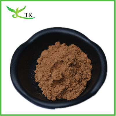 پودر استخراج قارچ چگا 30٪ پلی ساکارید
