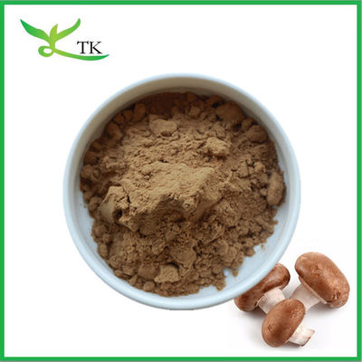 پودر استخراج قارچ 100٪ خالص طبیعی Shiitake Mushroom Extract Powder