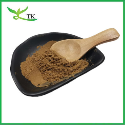 عصاره گیاهی طبیعی Coleus Forskohlii عصاره ریشه پودر 20٪ 98٪ Forskolin