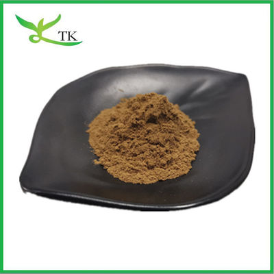پودر عسل طبیعی Lonicera Japonica عصاره گل عسل عصاره اسید کلروجنیک