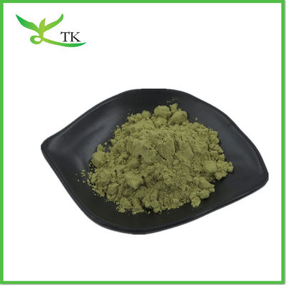 نمونه رایگان پودر ماتچا پودر 100٪ طبیعی مراسم ماتچا