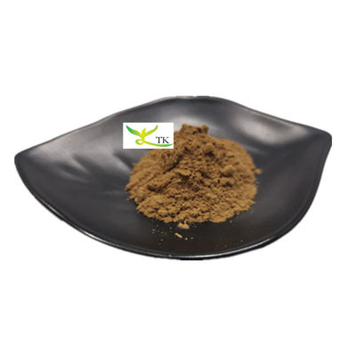 عصاره قارچ طبیعی پلی ساکارید 20٪ پودر عصاره قارچ چگا