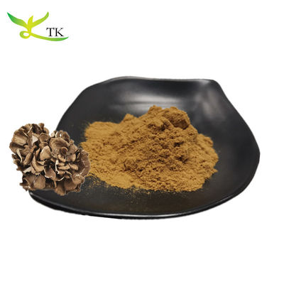 عمده فروشی مکمل های قارچ 100٪ طبیعی پودر استخراج Grifola Frondosa