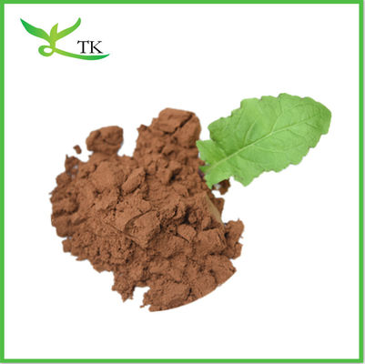 Lignosus Rhinocerus بتا گلوکان ها پلی ساکاریدهای شیر ببر پودر قارچ استخراج
