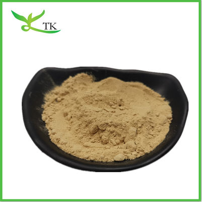 پولی ساکارید قارچ سفید Agaricus Bisporus پودر استخراج قارچ