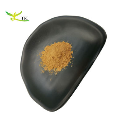 عصاره گیاهی طبیعی Schisandra Chinensis عصاره پودر عصاره توت Schisandra Berry