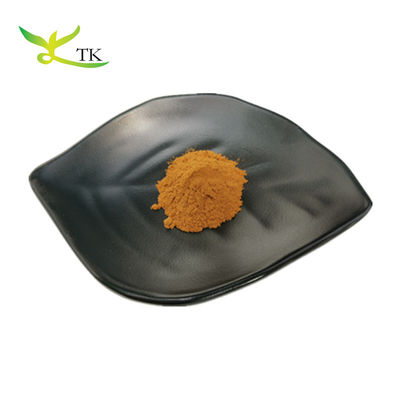 عصاره گیاهی طبیعی عصاره رزماری پودر اسید کارنوزیک اسید اورسول اسید رزمارینیک اسید