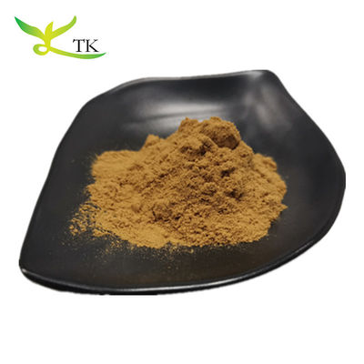 عمده فروشی Yerba Mate Extract طبیعی پاراگوئه چای ماتی چای استخراج