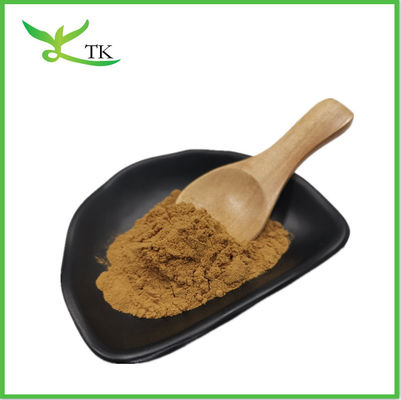 پودر استخراج سیستانچه توبولوسا 50٪ اچیناکوزید + 10٪ ورباسکوزید