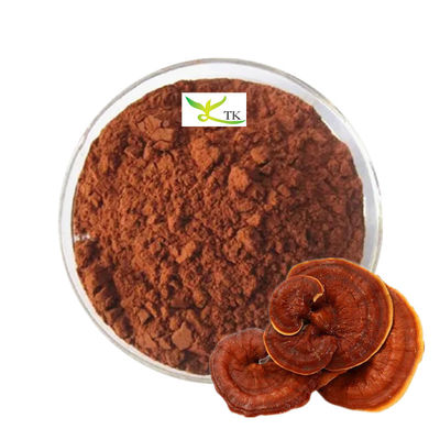 قیمت عمده فروشی عمده فروشی 100% پودر اسپور قارچ گانودرما لوسیدوم ریشی طبیعی
