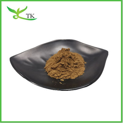 مکمل Cistanche Tubulosa Extract Powder 50٪ اچیناکوزید + 10٪ ورباسکوزید