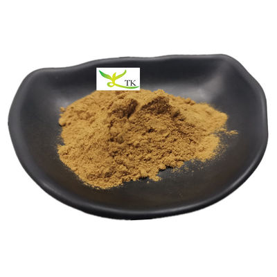عرضه عمده قیمت Natural Nasturtium Officinale Watercress Extract 10:1 پودر آب کریس