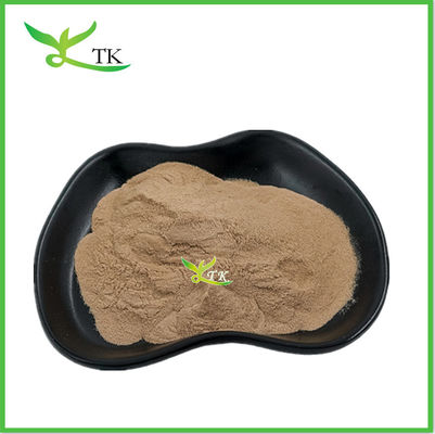 حجم عمده Lentinus Edodes استخراج قارچ شیتاکی استخراج پودر قارچ شیتاکی