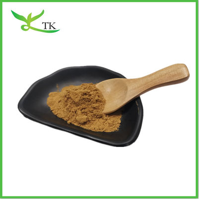 Cordyceps Sinensis 40٪ پلی ساکارید اسید Cordycepic Cordyceps Sinensis عصاره