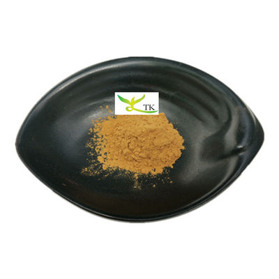 قیمت عمده فروشی Natural Portulaca Oleracea Purslane Herbs Extract Powder Purslane Extract 10:1