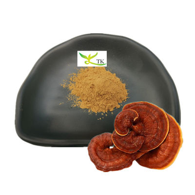 عمده فروش Ganoderma Lucidum Extract Reishi Mushroom Extract پودر پلی ساکارید ها 30٪