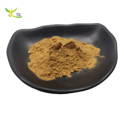 گیاه طبیعی Lavandula Angustifolia عصاره گل اسفندر عصاره پودر عصاره اسفندر