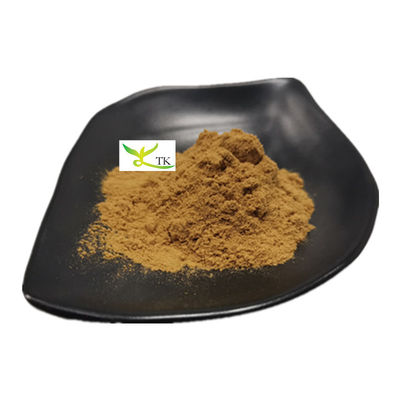 استخراج طبیعی YU XING CAO Houttuynia Cordata پودر Heartleaf Houttuynia Herb Extract P.E