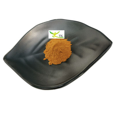 قیمت عمده فروشی 100٪ طبیعی Boletus Edulis استخراج پنی بن استخراج پودر
