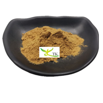 100٪ عصاره قارچ بریکتی طبیعی پودر پلی ساکارید Phellinus Igniarius عصاره