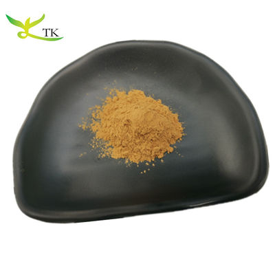 پودر استخراج آملا 100٪ طبیعی 10:1 پودر استخراج Phyllanthus Emblica