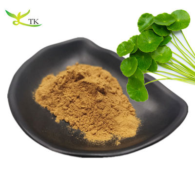 حرفه ای کارخانه بهترین قیمت عرضه Gotu Kola استخراج 10٪ کل Asiaticosides برای لوازم آرایشی