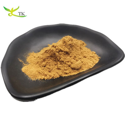 100٪ عصاره گیاهی طبیعی بهترین قیمت عصاره دانه گریپ فروت پودر عمده