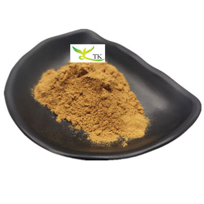 100٪ گیاه طبیعی چینی Dang Gui استخراج Dong Quai استخراج Ligustilide پودر