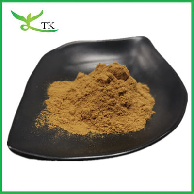 مواد غذایی 100٪ عصاره طبیعی یوکا شیدیجرا پودر عصاره یوکا ساپونین 30٪