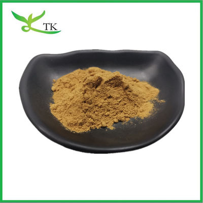 قیمت عمده فروشی عصاره ریشه بوردوک پودر آرکتیین 10٪ 30٪ مکمل های بهداشتی