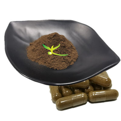 مکمل های گیاهی طبیعی برای مراقبت از سلامتی Shilajit Extract Powder Fulvic Acid 50%