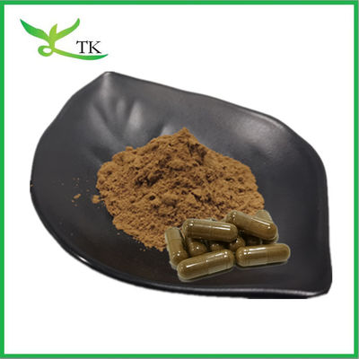 استخراج گیاهی طبیعی پودر استخراج 10:1 استخراج ریشه اشواگاندا