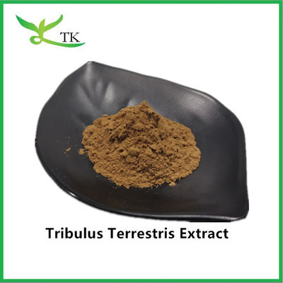 عمده فروشی بهترین قیمت 100٪ عصاره Tribulus Terrestris طبیعی پودر ساپونین 40٪