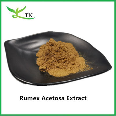 قیمت عمده 100٪ عصاره گیاهی طبیعی Rumex Acetosa L. Extract Powder