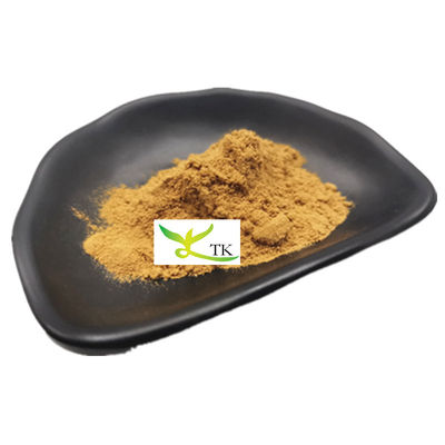 قیمت عمده فروشی مواد غذایی اکسترکت کاکتوس طبیعی اکسترکت کاکتوس پودر عمده فروشی
