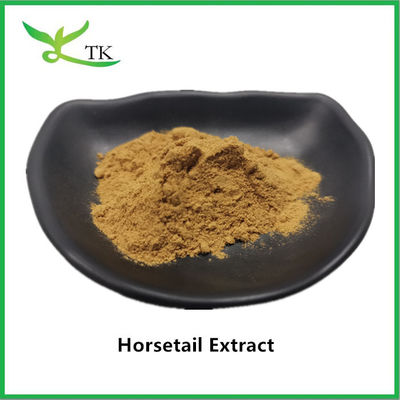 100 درصد عصاره ي طبيعي دم اسب پودر Equisetum Arvense Extract 10:1
