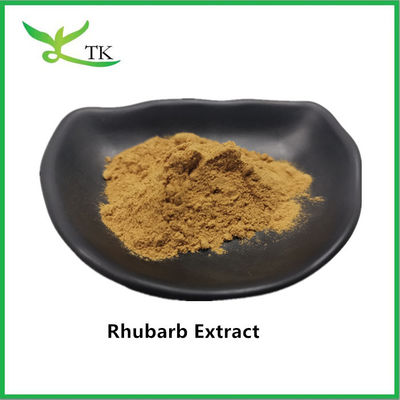 عصاره رباب طبیعی عصاره ریشه رباب پودر Rheum Palmatum