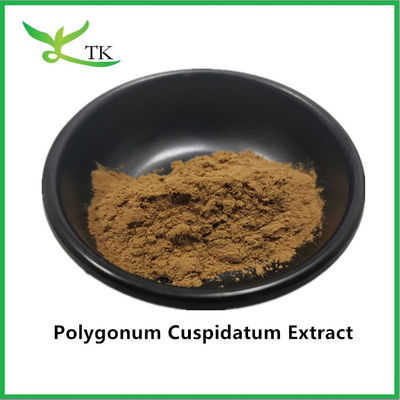 عصاره گیاهان طبیعی خالص غول پیاز غول پیاز Polygonum Cuspidatum عصاره 20٪ رزوراترول
