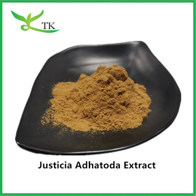 پودر استخراج 100٪ طبیعی Justicia Adhatoda Adhatoda Vasica Extract 10:1