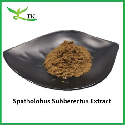 100٪ عصاره طبیعی Caulis Spatholobi پودر عصاره Spatholobus Suberectus